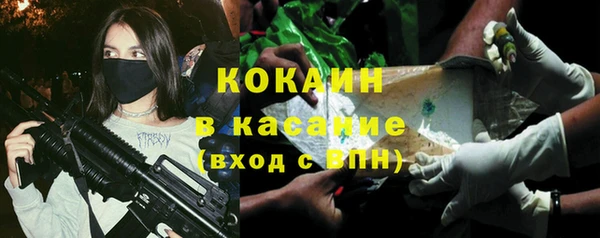 ПСИЛОЦИБИНОВЫЕ ГРИБЫ Алзамай