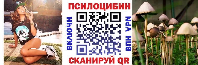 Галлюциногенные грибы Psilocybe Кемерово
